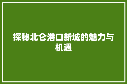 探秘北仑港口新城的魅力与机遇 百度SEO