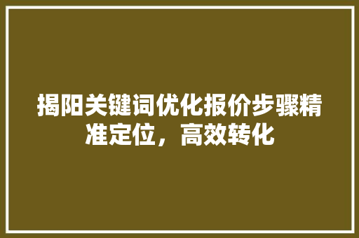 揭阳关键词优化报价步骤精准定位，高效转化 神马SEO
