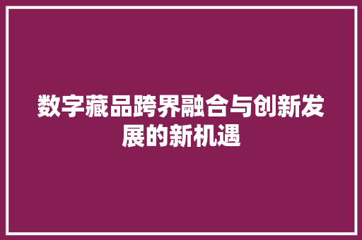 数字藏品跨界融合与创新发展的新机遇 神马SEO