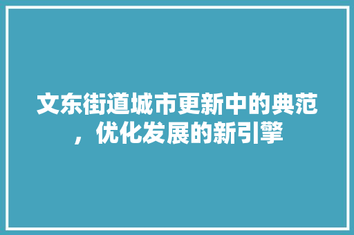 文东街道城市更新中的典范，优化发展的新引擎