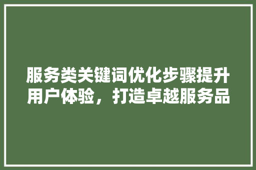 服务类关键词优化步骤提升用户体验，打造卓越服务品牌 百度SEO