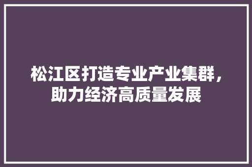松江区打造专业产业集群，助力经济高质量发展