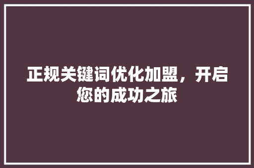 正规关键词优化加盟，开启您的成功之旅 必应SEO