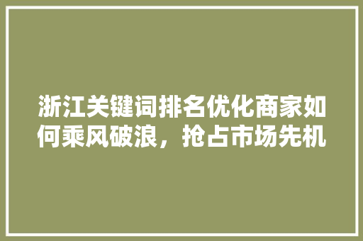 浙江关键词排名优化商家如何乘风破浪，抢占市场先机 GoogleSEO