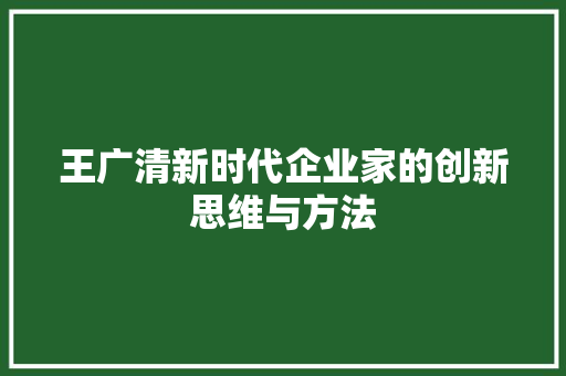 王广清新时代企业家的创新思维与方法 必应SEO