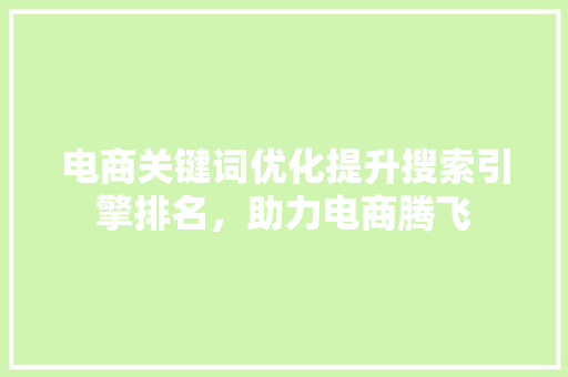 电商关键词优化提升搜索引擎排名，助力电商腾飞 GoogleSEO