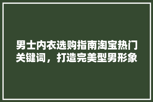 男士内衣选购指南淘宝热门关键词，打造完美型男形象 百度SEO