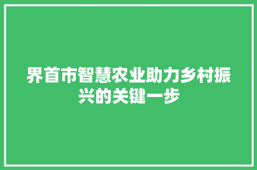 界首市智慧农业助力乡村振兴的关键一步 GoogleSEO