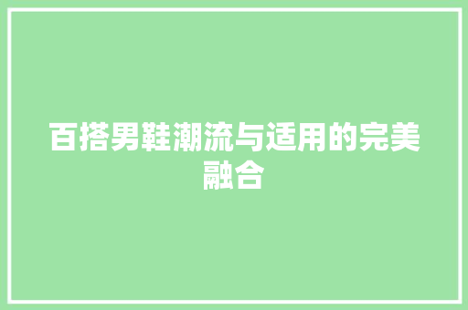 百搭男鞋潮流与适用的完美融合 百度SEO