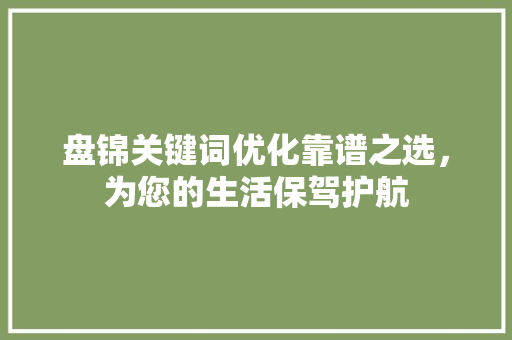 盘锦关键词优化靠谱之选，为您的生活保驾护航 神马SEO