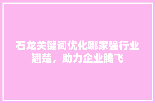 石龙关键词优化哪家强行业翘楚，助力企业腾飞 必应SEO