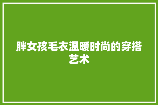 胖女孩毛衣温暖时尚的穿搭艺术 神马SEO