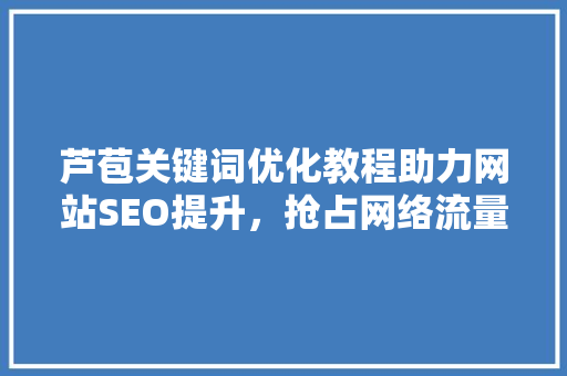 芦苞关键词优化教程助力网站SEO提升，抢占网络流量高地 神马SEO