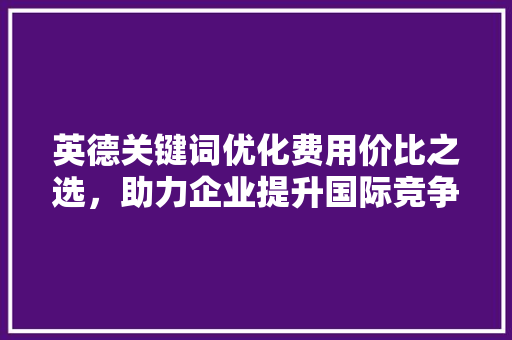 英德关键词优化费用价比之选，助力企业提升国际竞争力 神马SEO