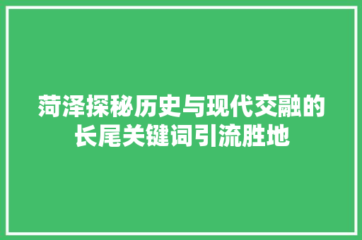 菏泽探秘历史与现代交融的长尾关键词引流胜地 神马SEO
