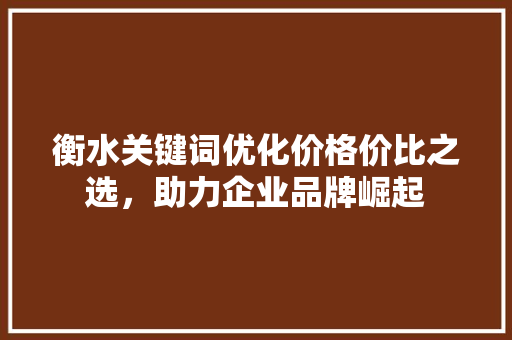衡水关键词优化价格价比之选，助力企业品牌崛起