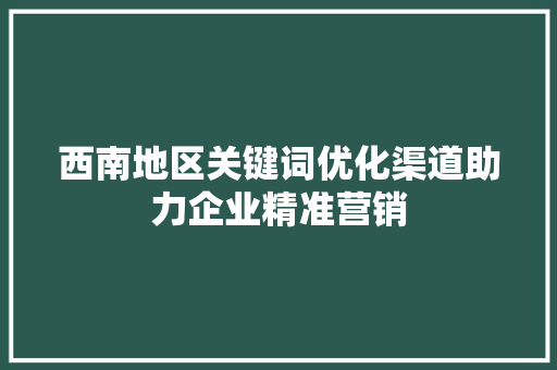 西南地区关键词优化渠道助力企业精准营销 必应SEO
