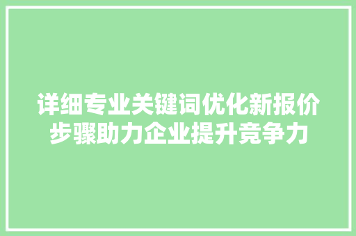 详细专业关键词优化新报价步骤助力企业提升竞争力 神马SEO