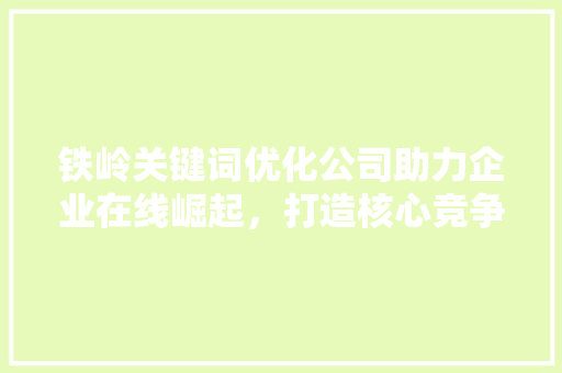 铁岭关键词优化公司助力企业在线崛起，打造核心竞争力 神马SEO