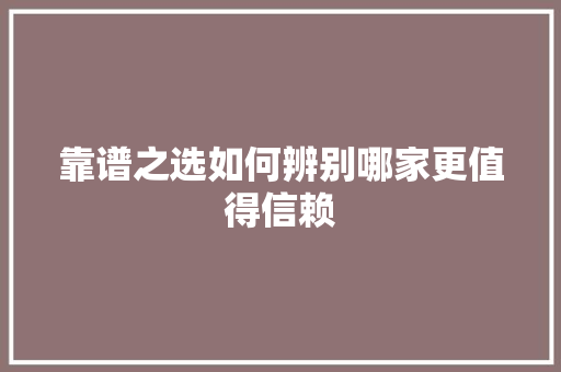 靠谱之选如何辨别哪家更值得信赖 必应SEO