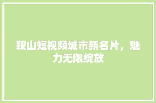 鞍山短视频城市新名片，魅力无限绽放 百度SEO