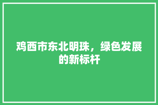 鸡西市东北明珠，绿色发展的新标杆 搜狗SEO