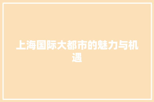 上海国际大都市的魅力与机遇 GoogleSEO