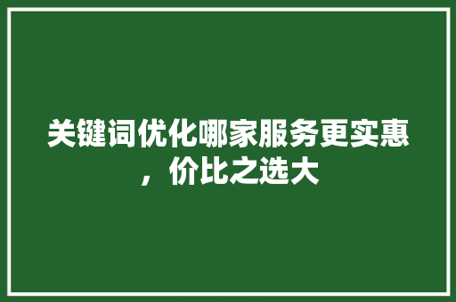 关键词优化哪家服务更实惠，价比之选大 必应SEO