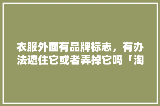 衣服外面有品牌标志，有办法遮住它或者弄掉它吗「淘宝直播为什么要遮标志」 衣服外面有品牌标志，有办法遮住它或者弄掉它吗「淘宝直播为什么要遮标志」 必应SEO
