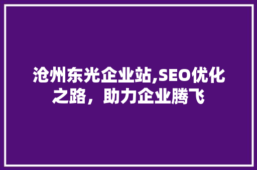 沧州东光企业站,SEO优化之路，助力企业腾飞 百度SEO
