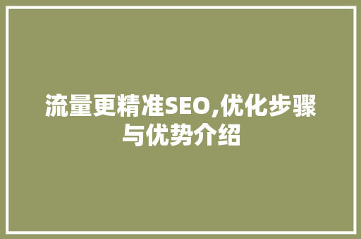 流量更精准SEO,优化步骤与优势介绍 搜狗SEO