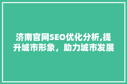 济南官网SEO优化分析,提升城市形象，助力城市发展 神马SEO