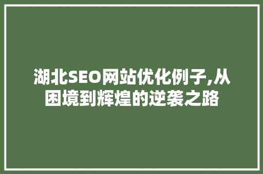 湖北SEO网站优化例子,从困境到辉煌的逆袭之路