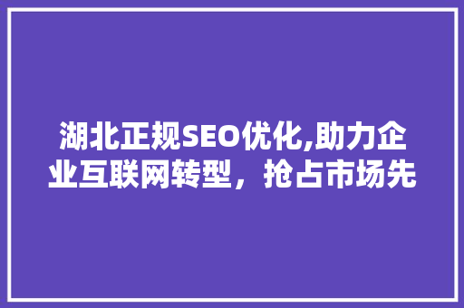 湖北正规SEO优化,助力企业互联网转型，抢占市场先机