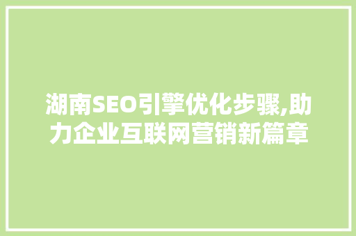 湖南SEO引擎优化步骤,助力企业互联网营销新篇章