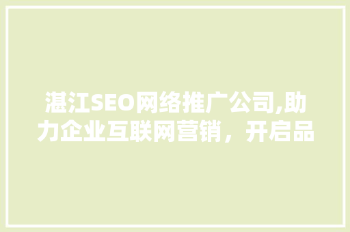 湛江SEO网络推广公司,助力企业互联网营销，开启品牌新篇章