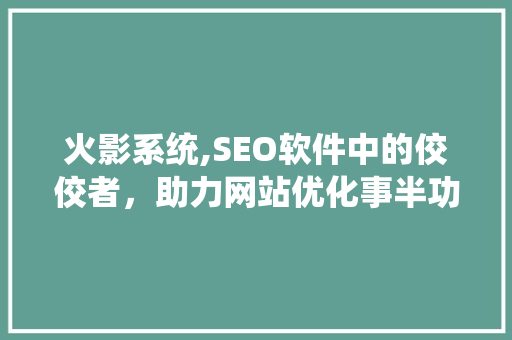 火影系统,SEO软件中的佼佼者，助力网站优化事半功倍