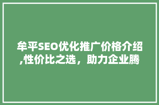 牟平SEO优化推广价格介绍,性价比之选，助力企业腾飞 百度SEO