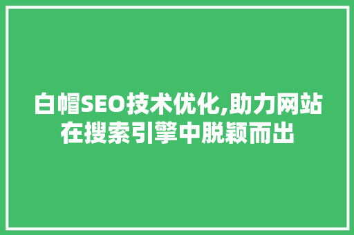 白帽SEO技术优化,助力网站在搜索引擎中脱颖而出