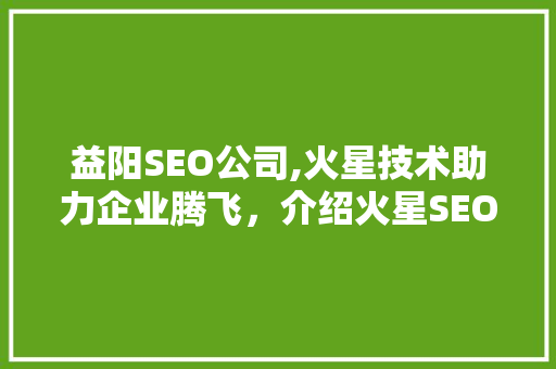 益阳SEO公司,火星技术助力企业腾飞，介绍火星SEO的奥秘