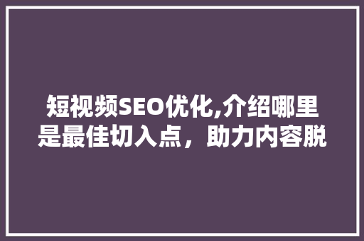 短视频SEO优化,介绍哪里是最佳切入点，助力内容脱颖而出 百度SEO