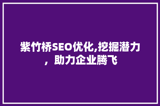紫竹桥SEO优化,挖掘潜力，助力企业腾飞 GoogleSEO