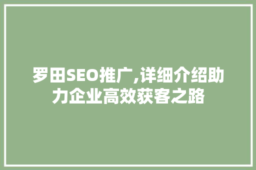 罗田SEO推广,详细介绍助力企业高效获客之路 GoogleSEO