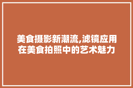 美食摄影新潮流,滤镜应用在美食拍照中的艺术魅力 搜狗SEO