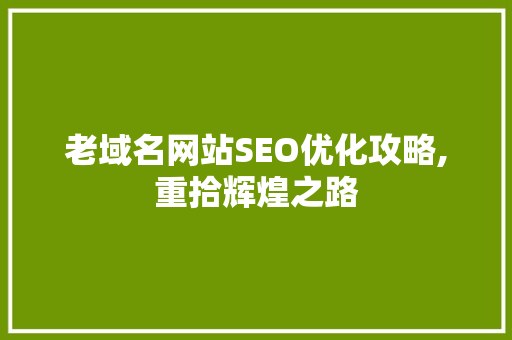 老域名网站SEO优化攻略,重拾辉煌之路 百度SEO