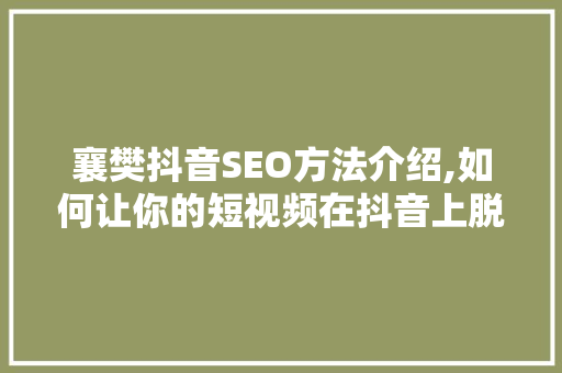襄樊抖音SEO方法介绍,如何让你的短视频在抖音上脱颖而出