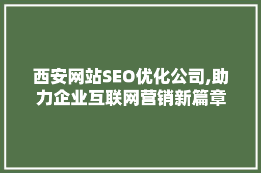 西安网站SEO优化公司,助力企业互联网营销新篇章 GoogleSEO