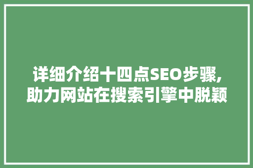 详细介绍十四点SEO步骤,助力网站在搜索引擎中脱颖而出 百度SEO