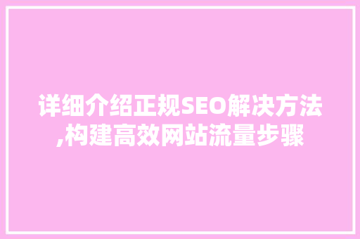 详细介绍正规SEO解决方法,构建高效网站流量步骤 必应SEO