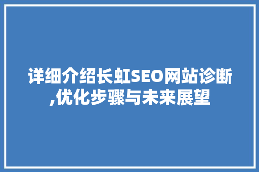 详细介绍长虹SEO网站诊断,优化步骤与未来展望 必应SEO